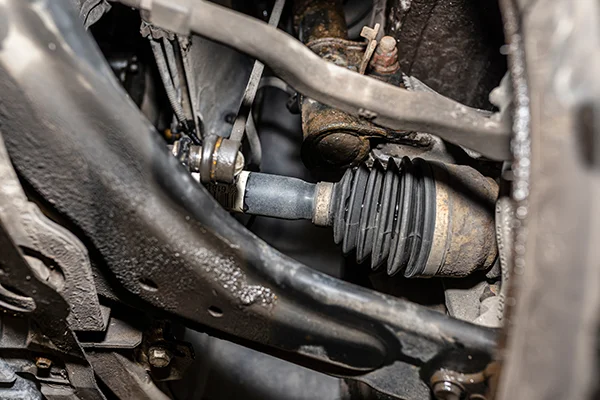 axle in a car viewed from underneath