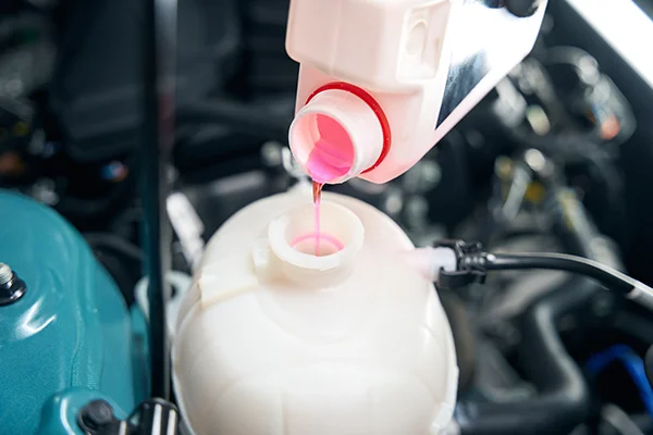 pink coolant being poured into car